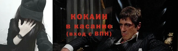 прущие грибы Алексеевка