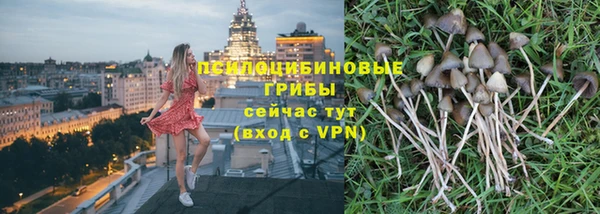 прущие грибы Алексеевка
