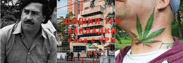 ГАЛЛЮЦИНОГЕННЫЕ ГРИБЫ Алзамай