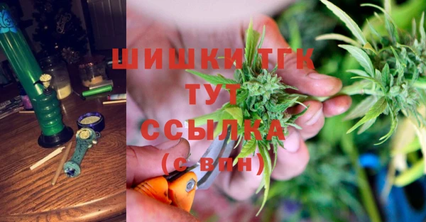 прущие грибы Алексеевка