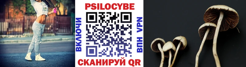 дарнет шоп  Калининск  Псилоцибиновые грибы Cubensis 